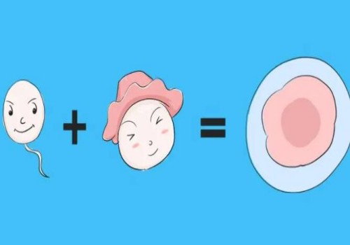 上海试管供卵：﻿女性有多少个基础卵泡才算正常