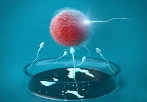 上海代怀生男孩价格：﻿喝水喝奶能用同一个奶瓶吗？若是妈妈这点没做好，最好分开