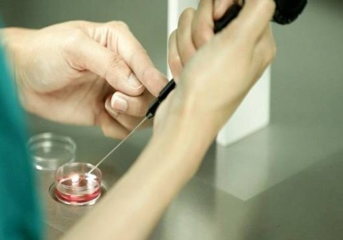 未婚单身女人可以免费申请精子做试管，但仅限于国外