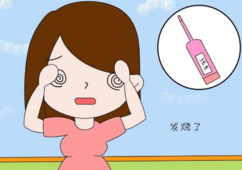 上海代生中心：﻿多囊卵巢做试管可以成功怀孕吗？内附多囊卵巢注意事项
