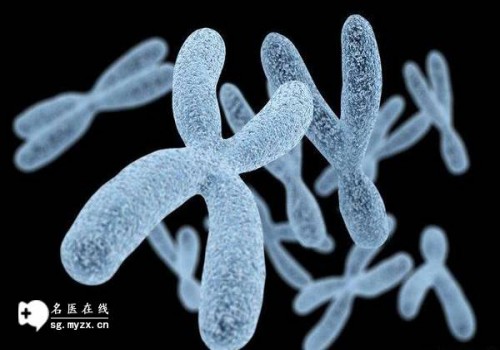上海代怀生男孩价格：﻿备孕时可以去医院监测卵泡，彩超可以看出有无优势卵泡