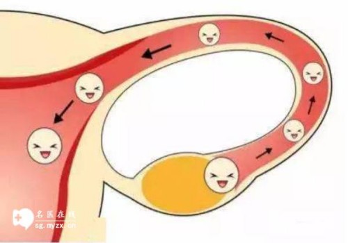 上海代生中心：﻿四维彩超也能看出胎儿性别，男孩女孩有这四方面区别
